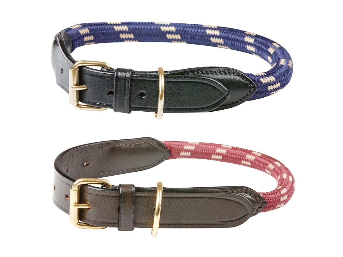 Cord dog outlet collar