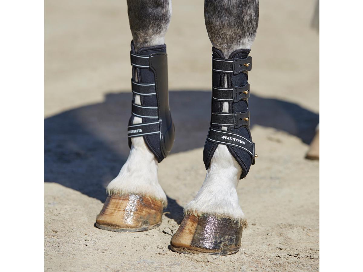 dressage boots horse