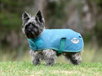 Weatherbeeta parka outlet 1680d dog coat